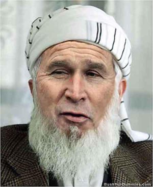bush_4.jpg