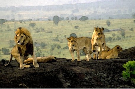 lionprideemboss.jpg