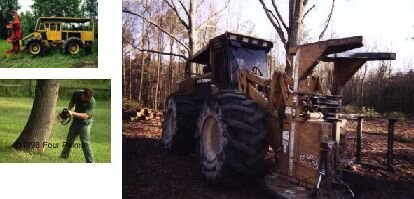 tree harvester.jpg