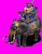 elephantarcher.jpg