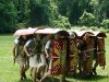 testudo.jpg
