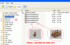 choosing  animations.gif