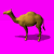 riderlesscamel.gif