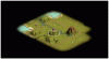 wbcm1-start.gif