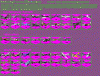 file1.gif