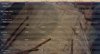 2160BC T46 demog.jpg