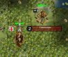 attack.JPG