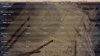 1200BC T70 demog.jpg