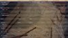 1120BC T72 demog.jpg