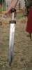 180px-Gladius_in_hand.jpg