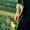 Flower icon.jpg