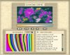 SG14_1200ad_score_graph.jpg