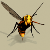 NOCivColorKillerHornetLarge.png