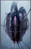 AntonovHalfLife2Full.jpg
