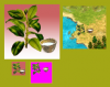 RubberResourcePreview.png