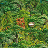 Orange-BrownRubber.png