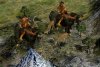 cowrider3.JPG