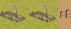 bothcamps.jpg