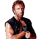 ChuckNorris.PNG