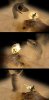 worm_nice.jpg