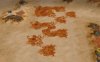 spice_tiles.jpg