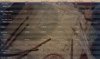 T107 200BC demog.jpg