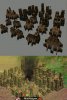 sparta_city.jpg