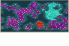 Cotm61_end_map.GIF
