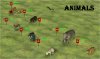 Animals.jpg