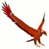 PheonixFirebirdLarge.jpg