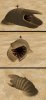 wormrider_test.jpg