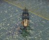 Whaler003.jpg