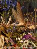 The Flower Fairy by Howard David Johnson.jpg