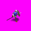 Spear_Run.gif
