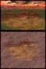 sandstorm1.jpg