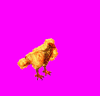 Phoenix.gif