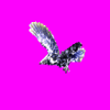 Thunderbird.gif