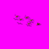 Multi_killer_hornet.gif