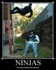 ninjas_better_than_pirates edited.jpg