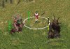 DarkTreant-Compare.jpg