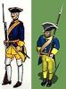 swedish_18c_musketeer.jpg