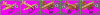 tanelorn31.gif
