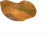 eeeee.jpg