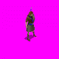 scottnewflics.gif