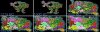 minimaps through480ad gotm18 rufrydyr.jpg
