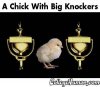 chickwithbigknockers.jpg