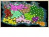keltoi280ad.jpg