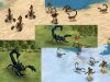 scorpions.jpg