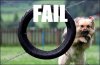 fail2.jpg