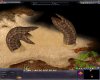 Civ4ScreenShot0125.JPG